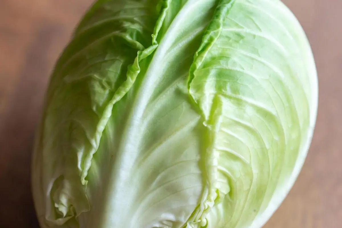 How Long Does Cabbage Take to Grow? Complete Guide